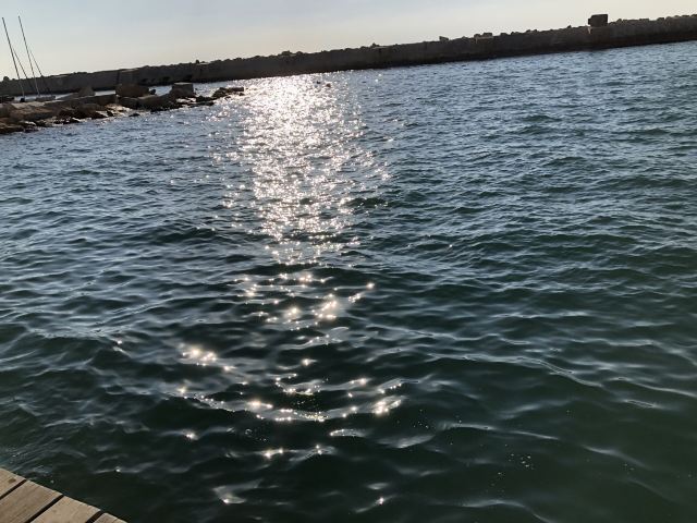 Tel Aviv Port