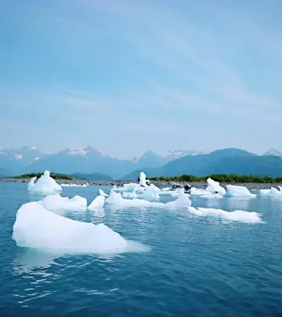 絶対に行くべきバルディーズの観光スポット トリップドットコム