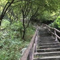 評論圖片 5