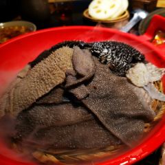 洋马儿火锅(磁器口店) User Photo