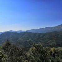評論圖片 5