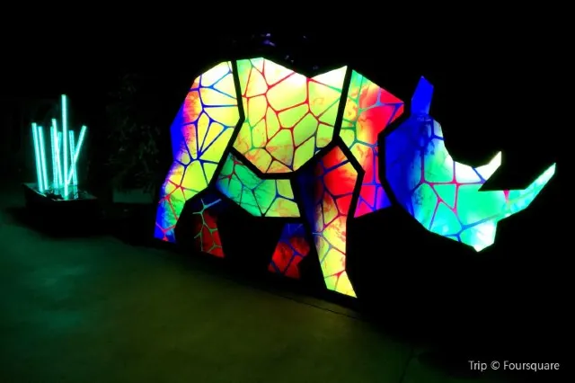 Everything you need to know before going to Los Angeles zoo