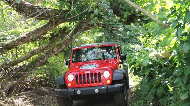 Jurassic Park experience: things to do in Kualoa Ranch