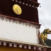評論圖片 1