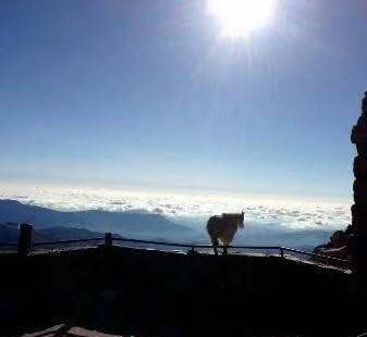 攀登至埃文斯山（科罗拉多最美丽的山峰之一）的顶峰是大多数人的