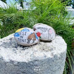 The Shack, Saipan User Photo