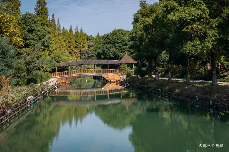 Shanghu Lake Scenic Area