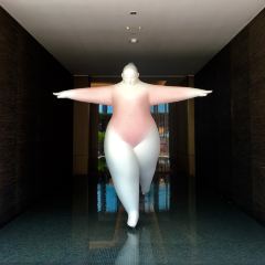 The Butterfly Room User Photo