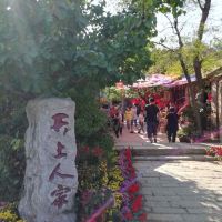 評論圖片 6