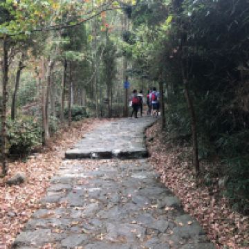 評論圖片 5