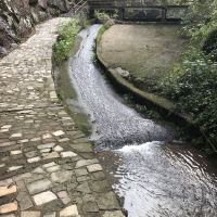 評論圖片 7
