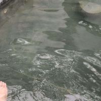 評論圖片 3