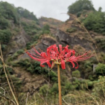 評論圖片 7