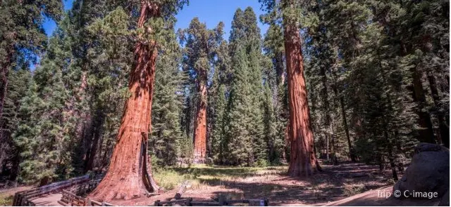 6 Cool Bay Area Parks for a Summer Hike