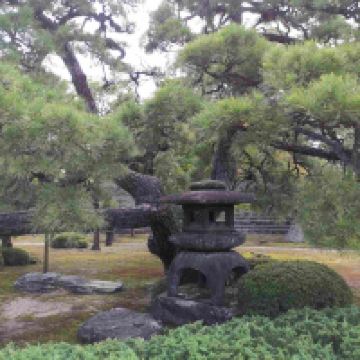 評論圖片 2