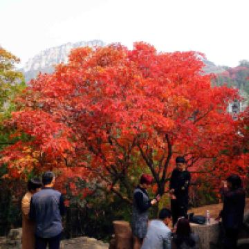 評論圖片 1
