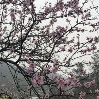 評論圖片 5