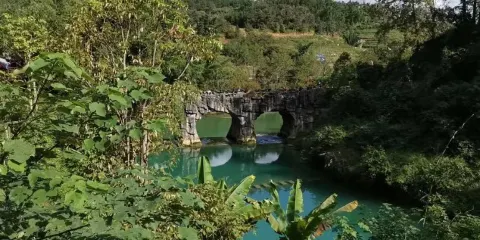 畢姑山