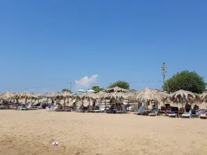 Seagull Beach Bar