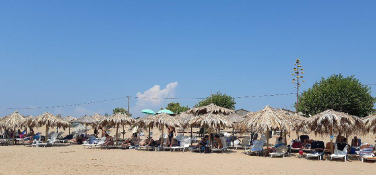 Seagull Beach Bar