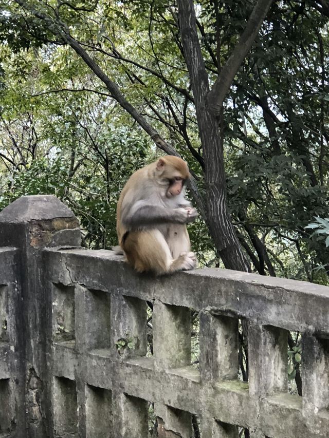 첸링산 공원