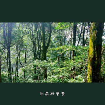 評論圖片 8