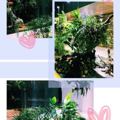 CHIC1699 User Photo