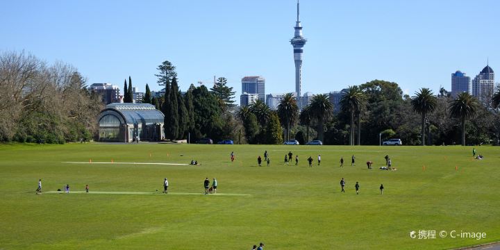 Auckland Domain