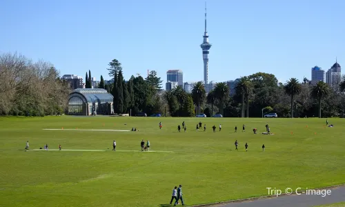 Auckland Domain