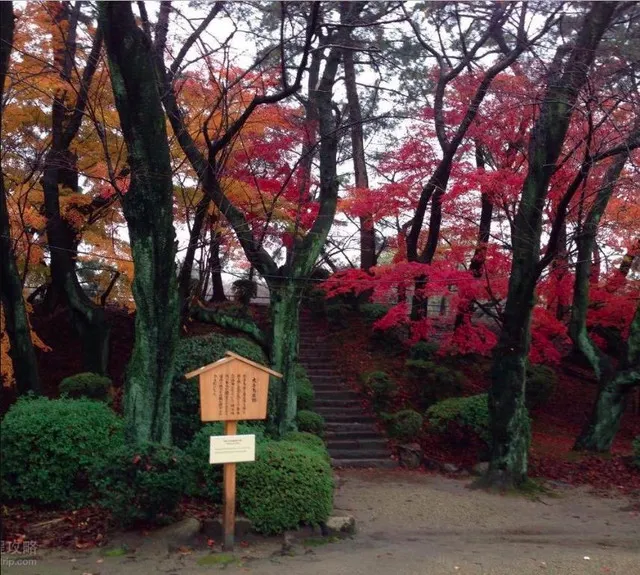 How Can You Take Advantage of Off-Peak Seasons? Low Prices and High Value! 