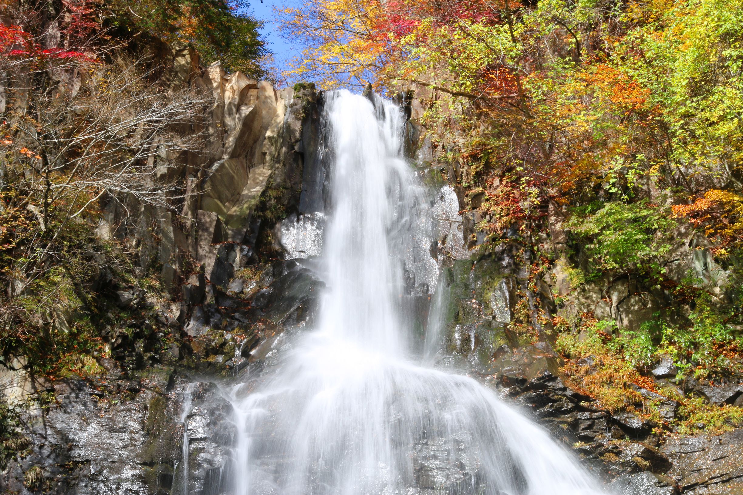 日本紅葉 一葉知秋 8大福岡紅葉景點推介遊記攻略 Trip Com遊玩攻略