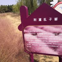 評論圖片 4