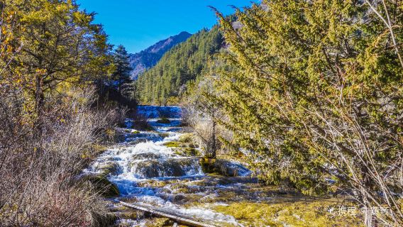 九寨溝風景區-黃龍九寨高鐵站 (單程) 大巴接駁車