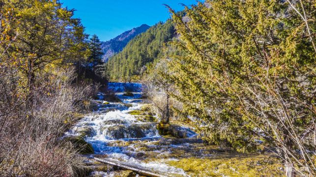 九寨溝風景區-松潘高鐵站（單程）空調大巴接駁車