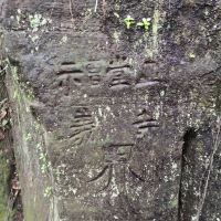 評論圖片 5