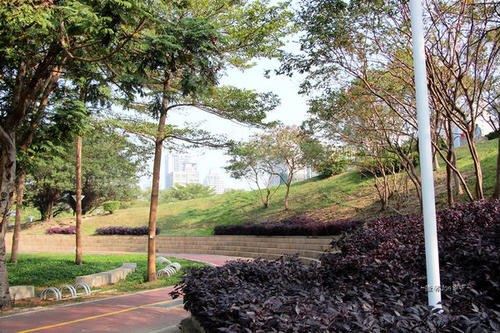 Wenxin Forest Park