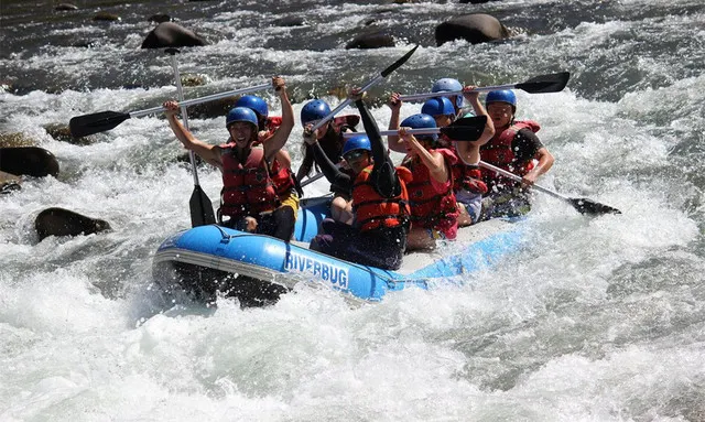 Traveling Across the Sea, Mountains and Jungle, 7 Kinds of Popular ...