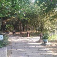 評論圖片 8