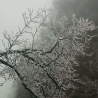 評論圖片 3