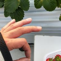 評論圖片 3