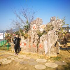 顾渚农贸市场 User Photo