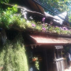 Natural Restaurant User Photo