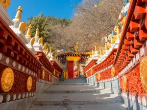Lanzhou Shifo Valley National Forest Park
