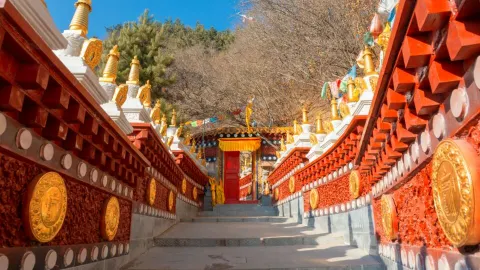 SHIFOGOU NATIONAL FOREST PARK attraction in Gansu