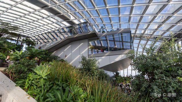 Sky Garden