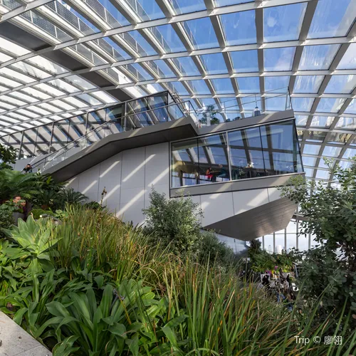 Sky Garden