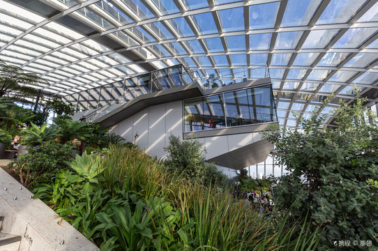 Sky Garden