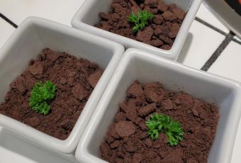 LU PRINCIPAL OLD HOT POT User Photo