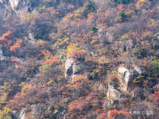 Wolong Valley