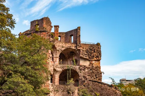 Castello di Heidelberg